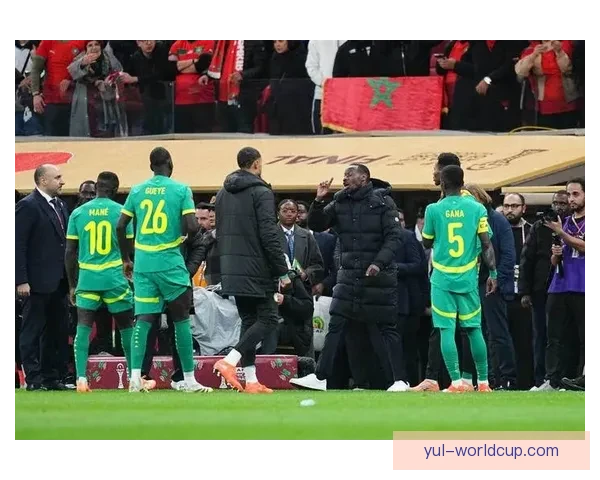 非洲杯决赛冲突本周商讨处罚