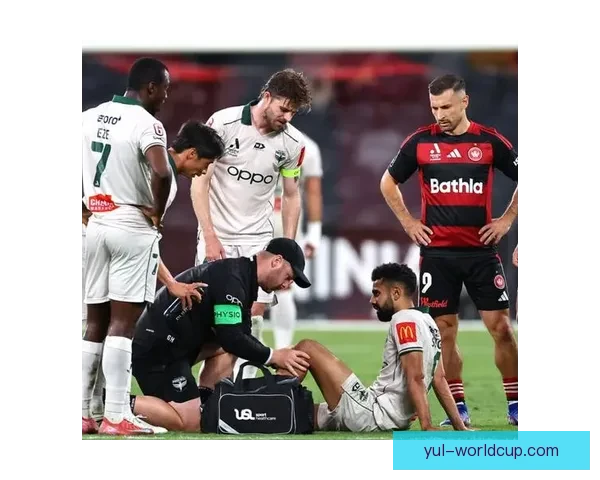 新西兰国脚辛格回归凤凰拜仁旧将